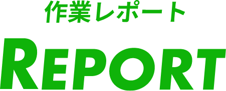 作業レポート